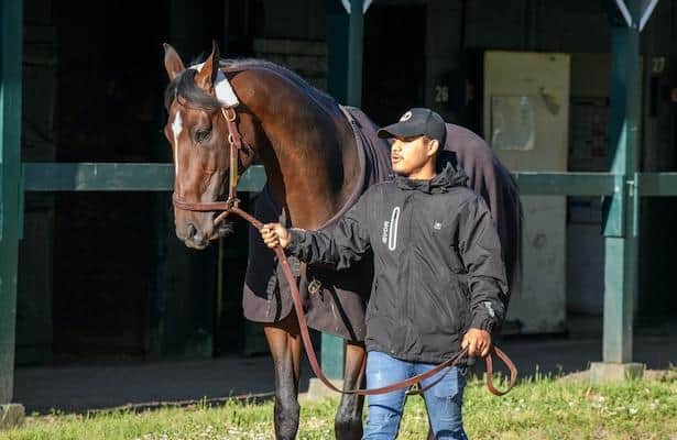 Belmont Stakes watch: Kentucky Derby winner looks for respect