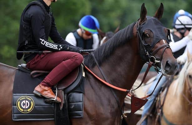 Horse Racing Nation