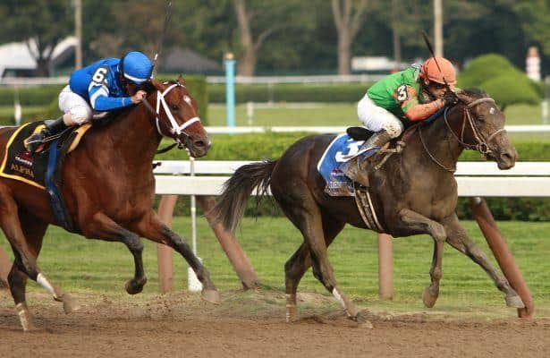 McPeek Saddles Four Stakes Contenders on Stephen Foster Card