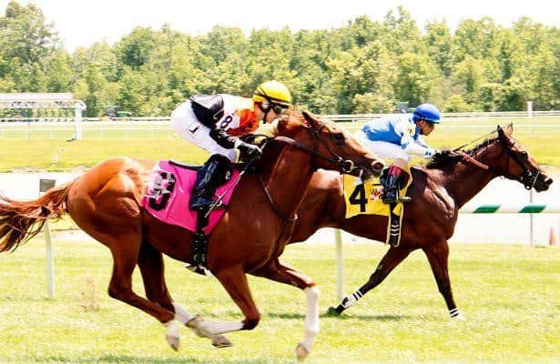 Greatbullsoffire the horse to beat in Maryland Million Nursery
