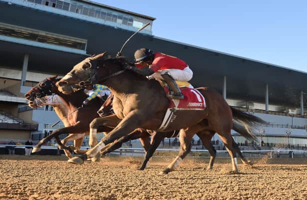 Greeley and Ben, 8, wins 1st graded stakes in Fall Highweight