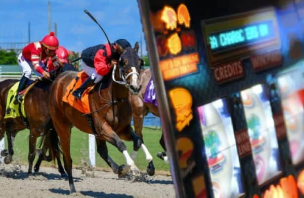 Stronach to Fla. horsemen: Decoupling = 3 years of racing