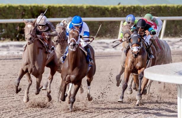 Wednesday wagers: Downton Tabby is tempting at Gulfstream