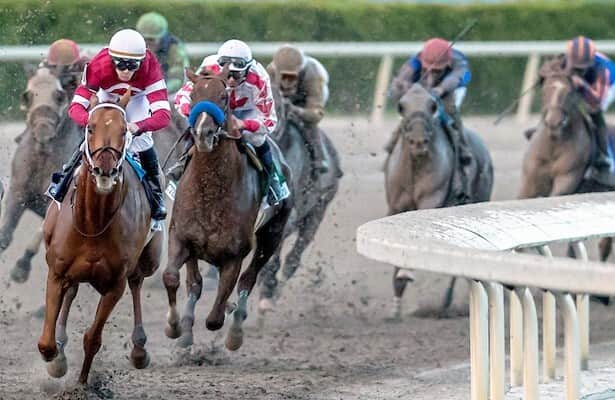 Pegasus 2023: Which 3 horses can survive wide post?