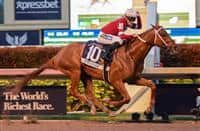 /horse/Gun Runner siblings