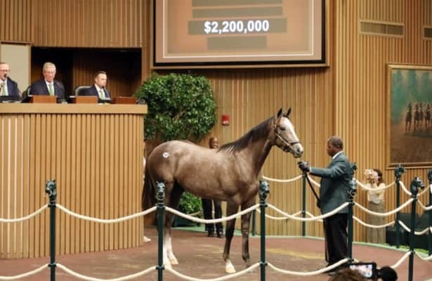 Gun Runner yearling sells for .2 million at Keeneland