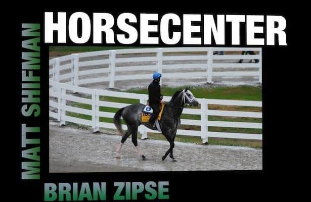 HorseCenter - Breeders' Cup Prop Bets 2015 (VIDEO)