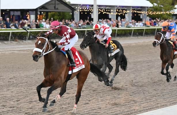 Florida Derby: Hades needs to 'show up' for showdown