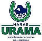 Haras Urama2