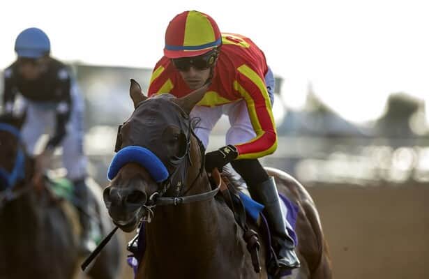 Sunday play: Who is Baffert's best of 4 in the San Vicente?