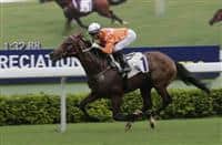 Helene Paragon coasts to victory in the Class 1 Sha Tin Mile Trophy last term.