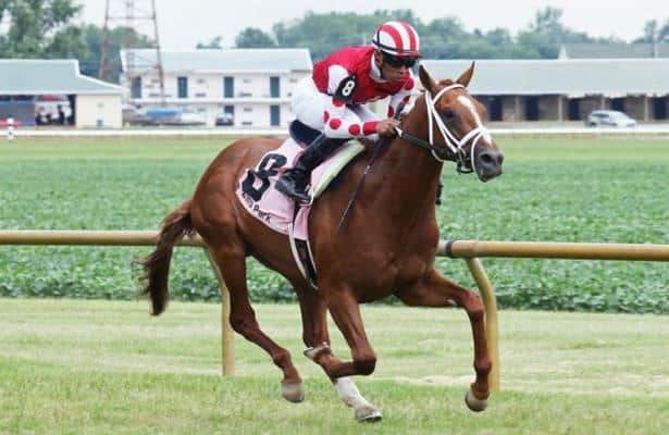Bloom Racing takes aim at Kentucky Downs Juvenile with Henley's Joy