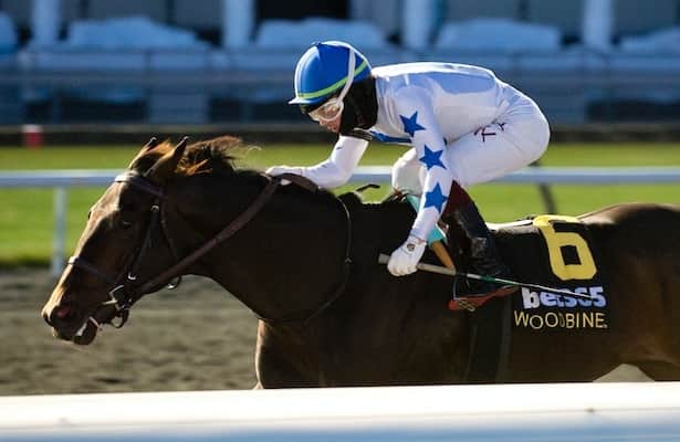 Holy Bull: He's Not Joking seeks 1st win on dirt in Derby prep