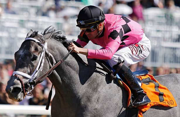 Ky. Derby prep: Withers 2023 odds and analysis