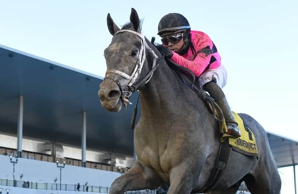 Hit Show, Red Route One are among 13 entered in Okla. Derby