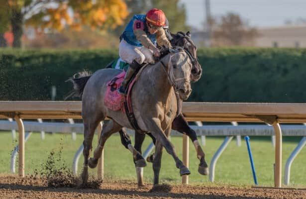 Speed figures: These are last week’s 21 fastest stakes winners