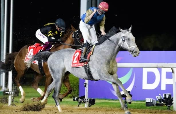 Division rankings: Older males get chance for a jump start