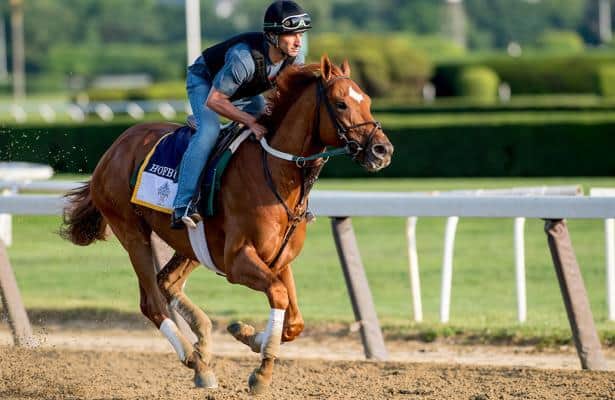 Hofburg takes 'different route' from Breeders' Cup, facing older