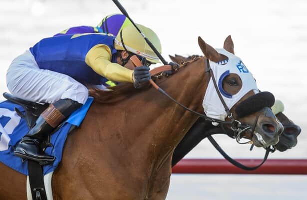 D'Amato shares plans for his leading West Coast turf horses