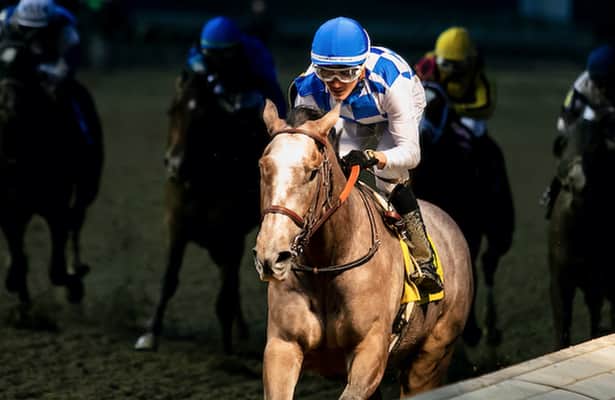 Horses to Watch: Add 3 new juveniles, keep 3 others
