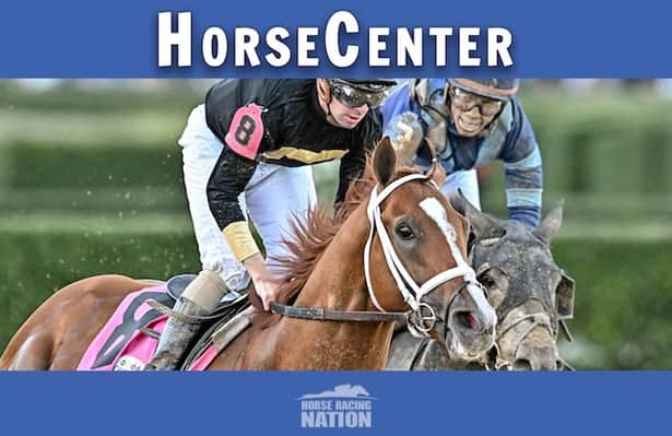 HorseCenter: Pegasus World Cup and Pegasus Turf top picks 