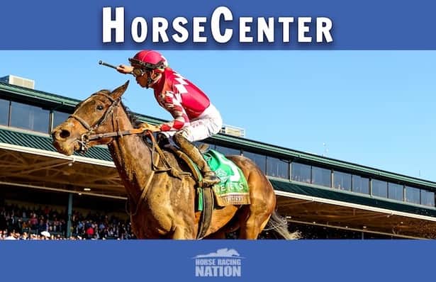 HorseCenter: Zipse, Shifman handicap Tampa Bay Derby