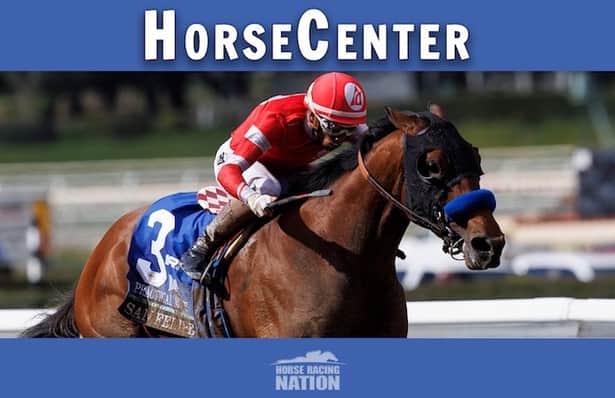 HorseCenter: Handicapping for Preakness, Black-Eyed Susan