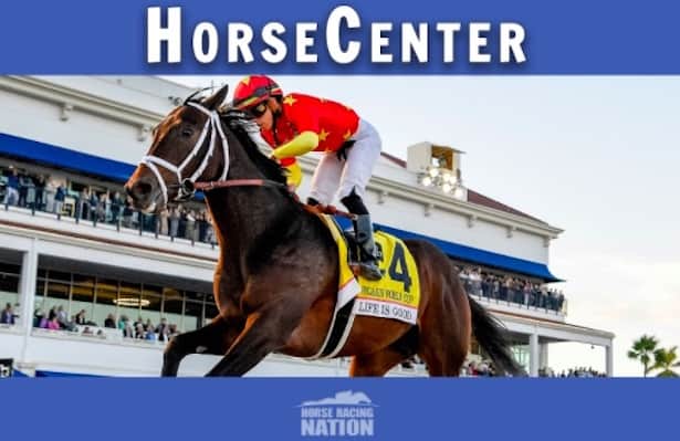 HorseCenter: Early preview of Belmont Stakes & Met Mile
