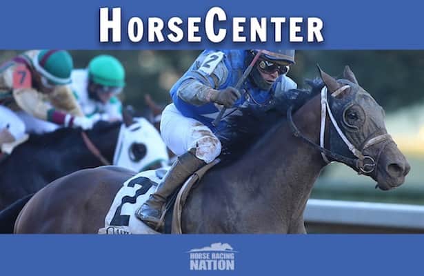 HorseCenter: Preakness Stakes, Black-Eyed Susan top picks