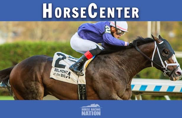 HorseCenter: Steve Sexton Mile and Texas Derby top picks