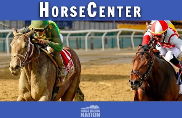 HorseCenter: From Belmont day to Hot Rod Charlie