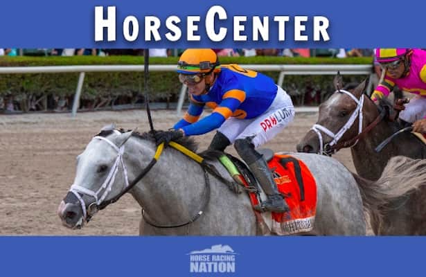 HorseCenter: Breeders’ Cup rankings, Kentucky Turf Cup tips