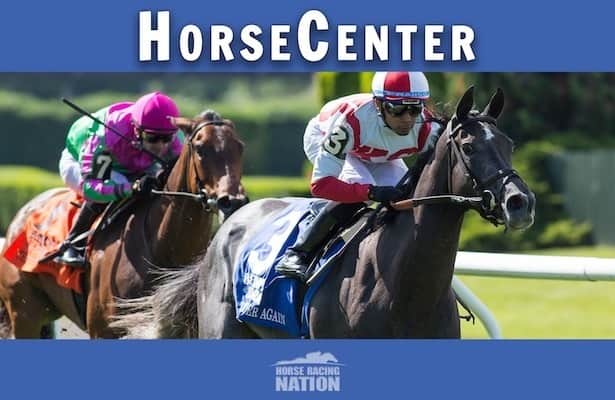 HorseCenter: Hear picks for Jim Dandy, San Diego Handicap