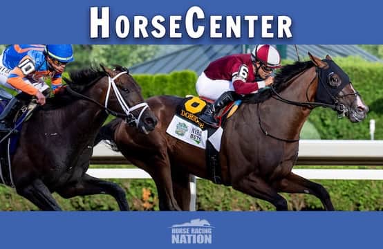 HorseCenter: Haskell, Coaching Club American Oaks top picks