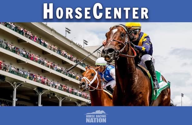 HorseCenter: Hear preview of Arlington Million, Beverly D.