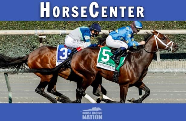 HorseCenter: Arlington Million, Beverly D. analysis and picks