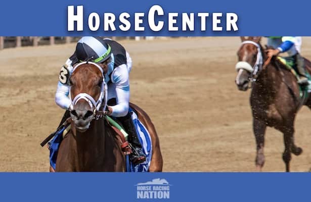 HorseCenter: Woodbine Mile, Iroquois carry Breeders’ Cup bids