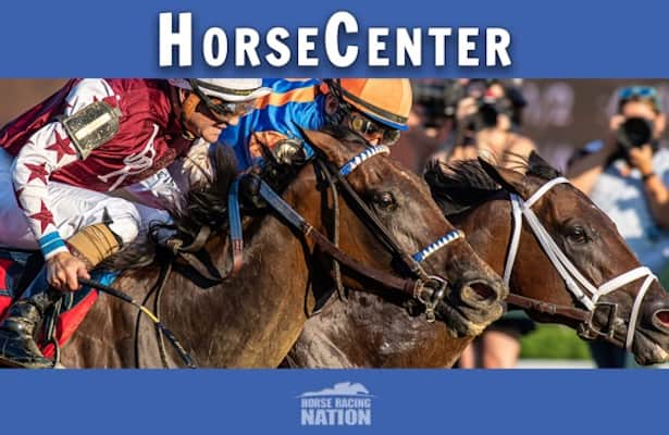 HorseCenter 10th anniversary edition: Breeders’ Cup preview