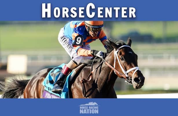 HorseCenter: Breeders’ Cup 2024 top contenders