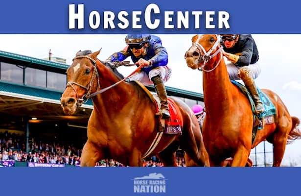 Power Picks Subscription - Horse Racing Nation Picks