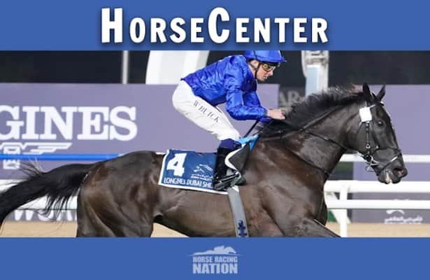 HorseCenter: Breeders’ Cup 2024 top turf contenders