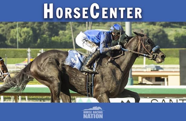 HorseCenter: Zipse, Shifman recap all 14 Breeders’ Cup races