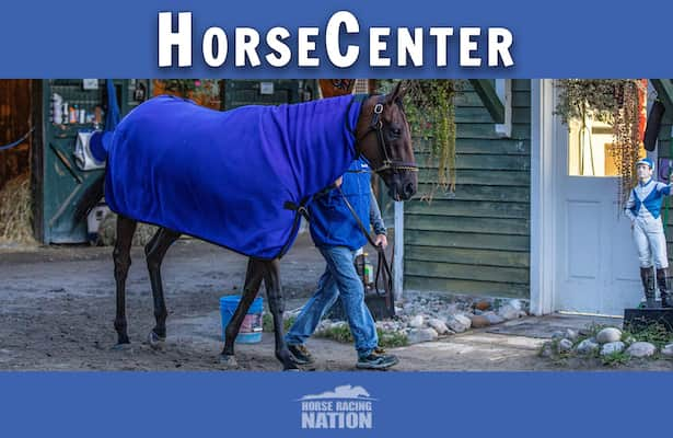 HorseCenter: Breeders’ Cup 2024 top picks and long shots