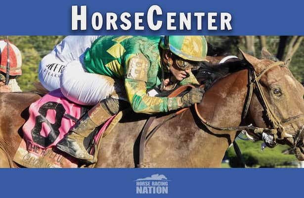 HorseCenter: Breeders’ Cup Classic & Juvenile picks