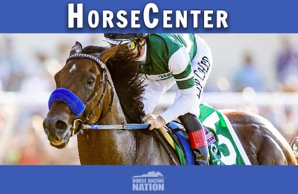 Breeders' Cup Announces New 'Classic Pick 'Em' Contest