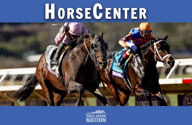 HorseCenter: Eclipse Awards after Breeders’ Cup 2024