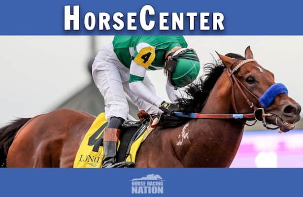 HorseCenter: Here Are 20 Horses To Watch Going Into 2023