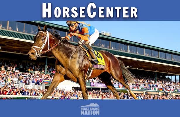 horsecenter-kentucky-derby-2023-sweet-16-contenders-list