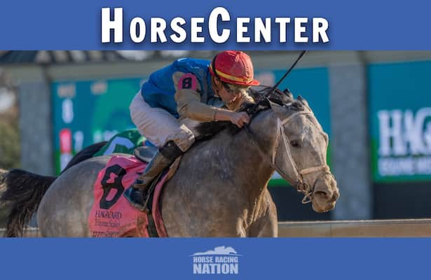 HorseCenter: Clark Stakes, Kentucky Jockey Club top picks