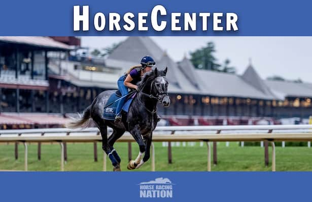 HorseCenter: Cigar Mile and Remsen Stakes top picks